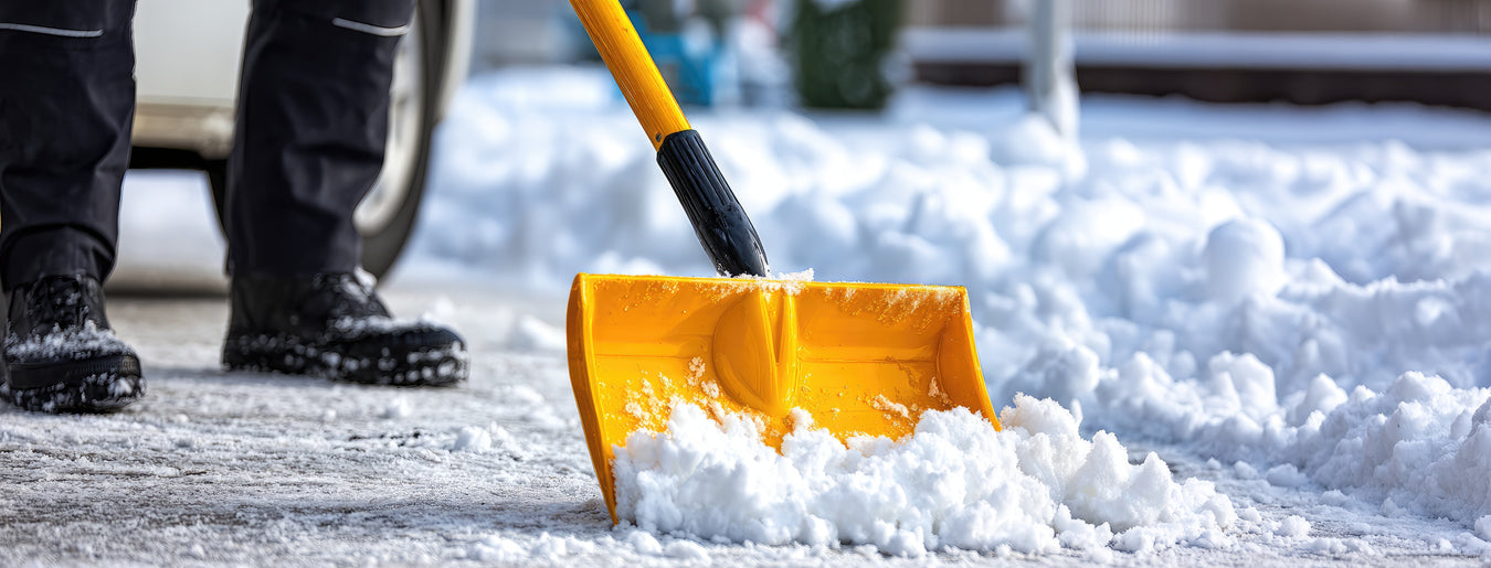 Winter Product Specialties